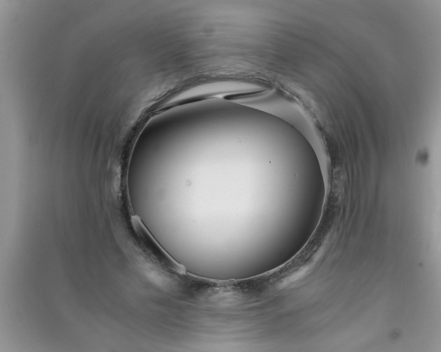 X0000090990589200708161919