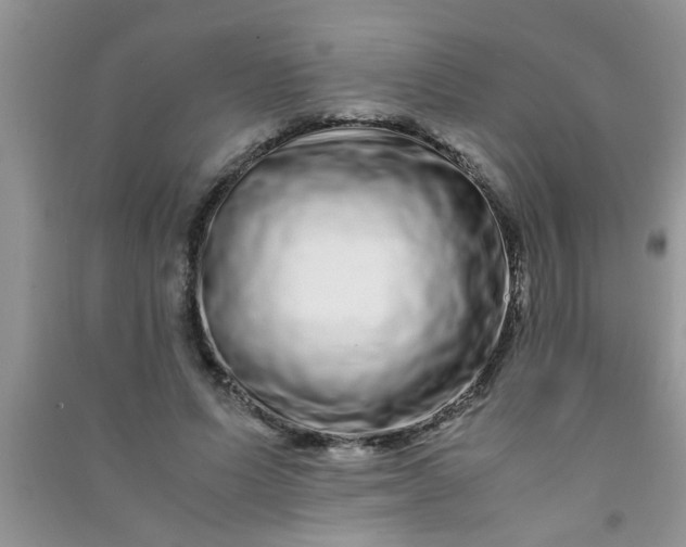 X0000090990591200708161919
