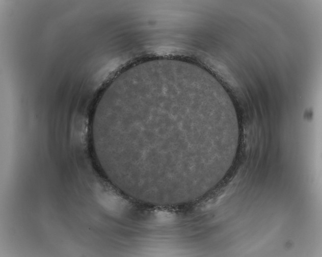 X0000090990592200708161919