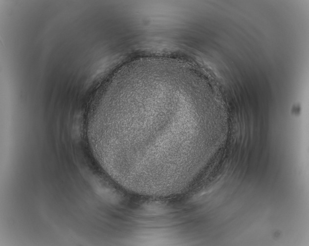 X0000090990594200708161919