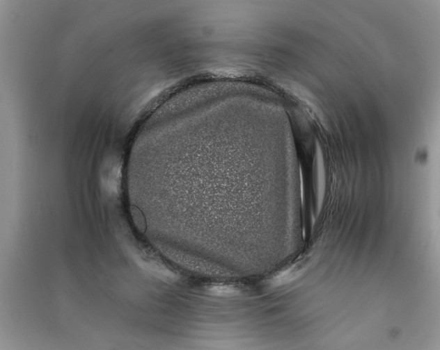 X0000090990596200708161918