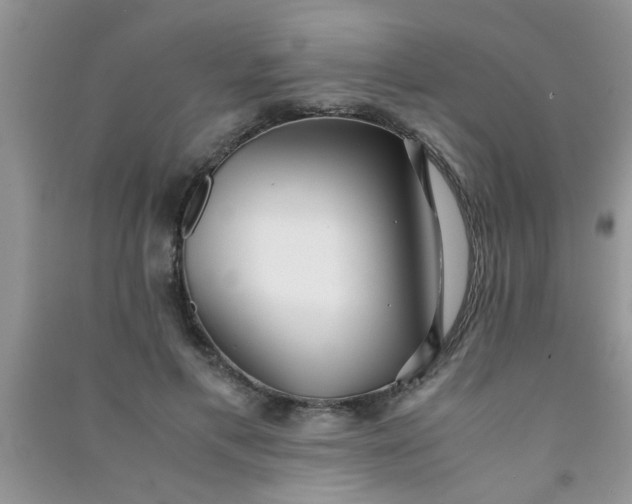 X0000090990597200708161918