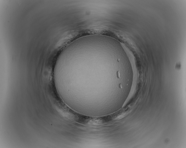 X0000090990599200708161918