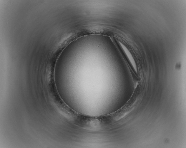 X0000090990600200708161918