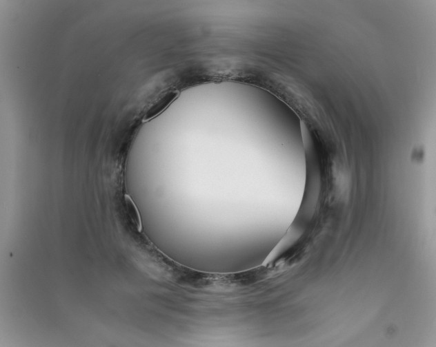 X0000090990601200708161918