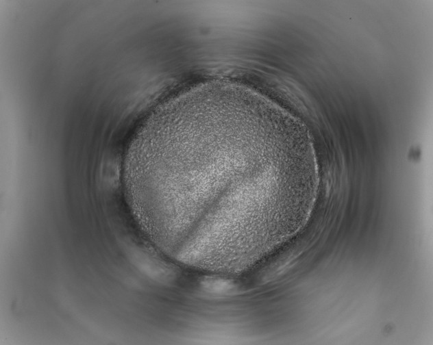 X0000090990602200708161918