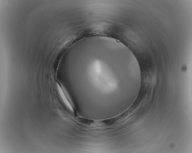 X0000090990603200708161918