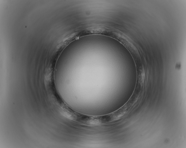 X0000090990604200708161918