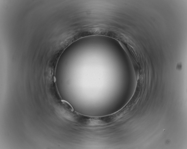 X0000090990605200708161918