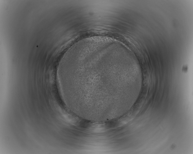 X0000090990606200708161918
