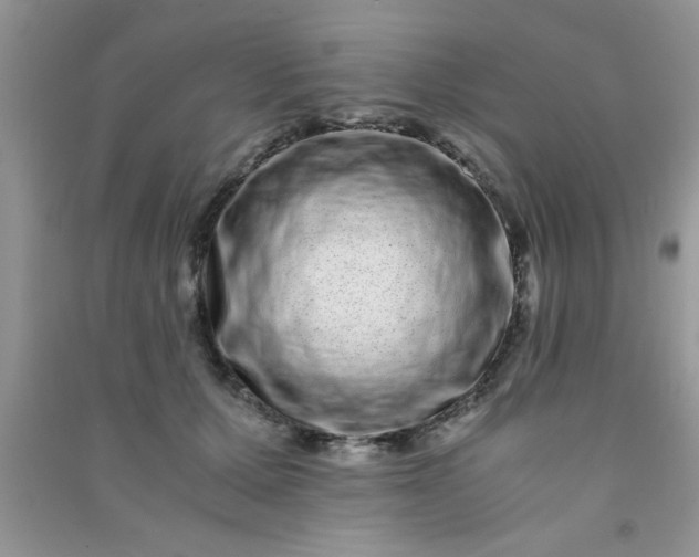 X0000090990607200708161918