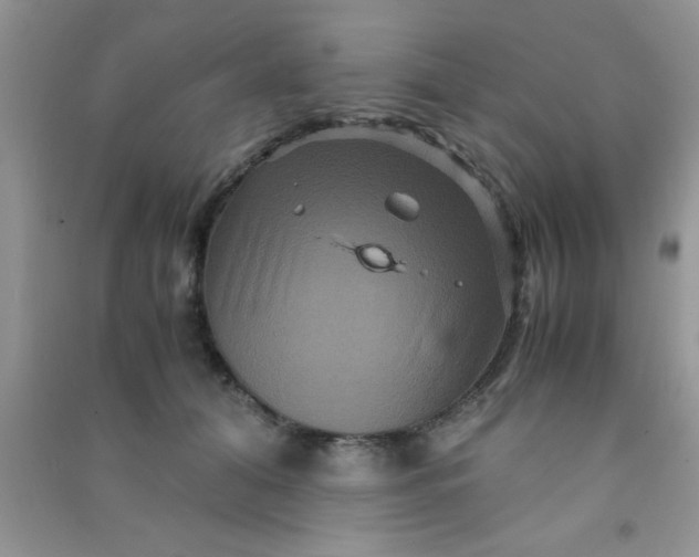 X0000090990608200708161918