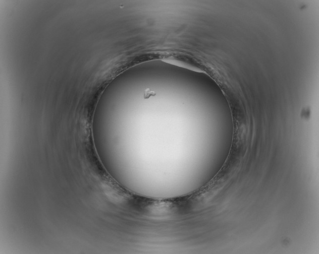 X0000090990609200708161918