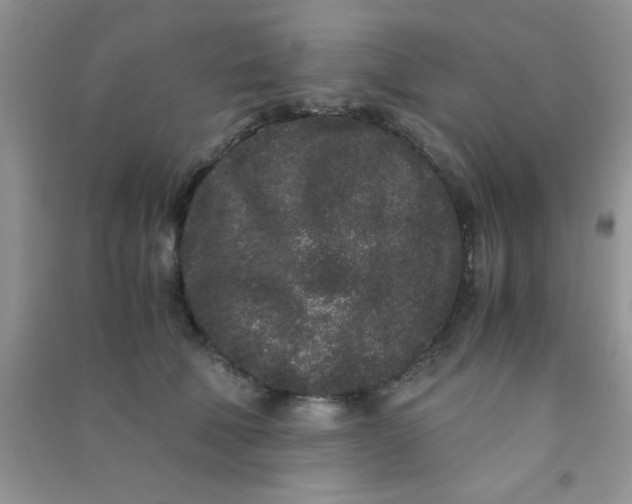 X0000090990610200708161918