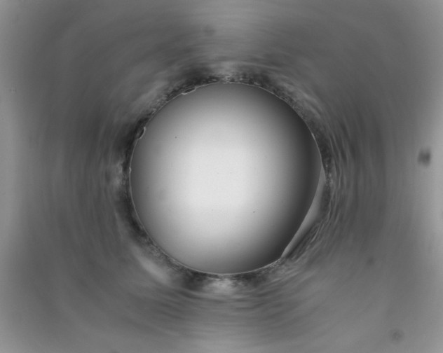 X0000090990611200708161918