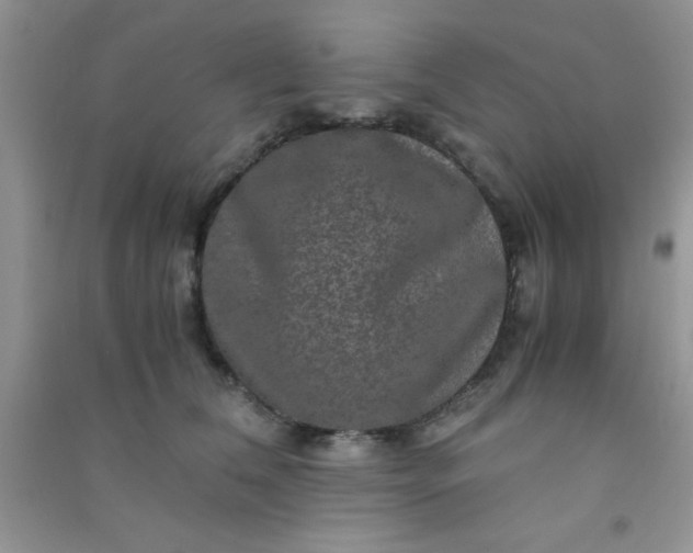 X0000090990612200708161918