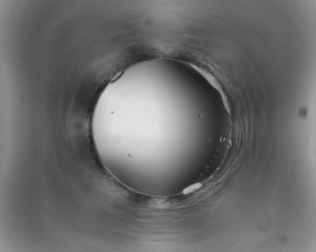 X0000090990613200708161918