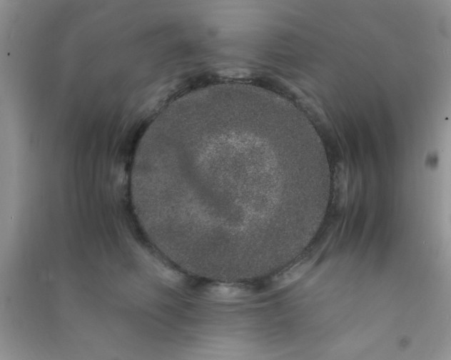 X0000090990614200708161918