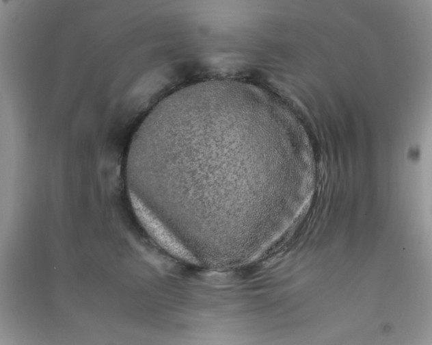 X0000090990615200708161918