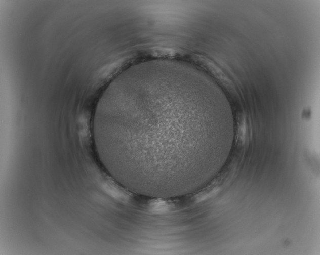 X0000090990616200708161918