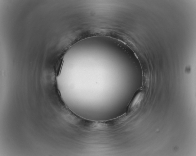 X0000090990617200708161918