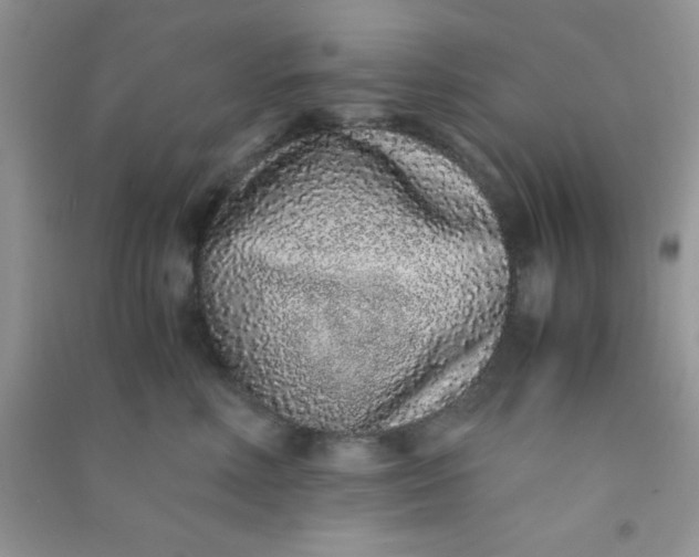 X0000090990618200708161918