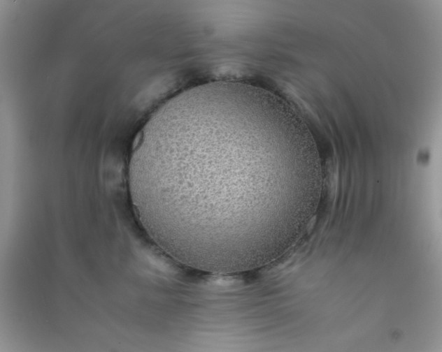 X0000090990619200708161918