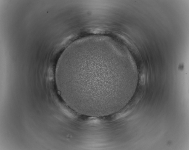 X0000090990620200708161918