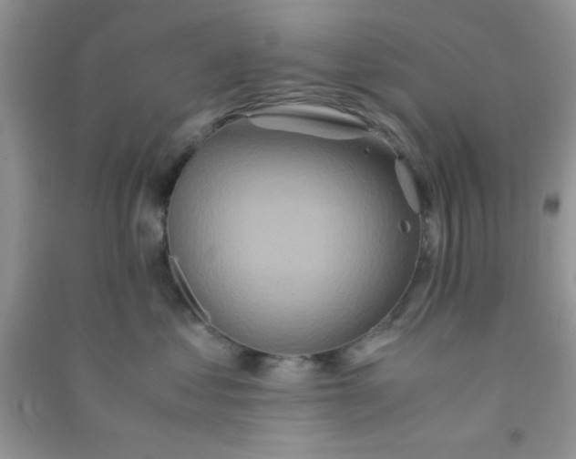 X0000090990621200708161918