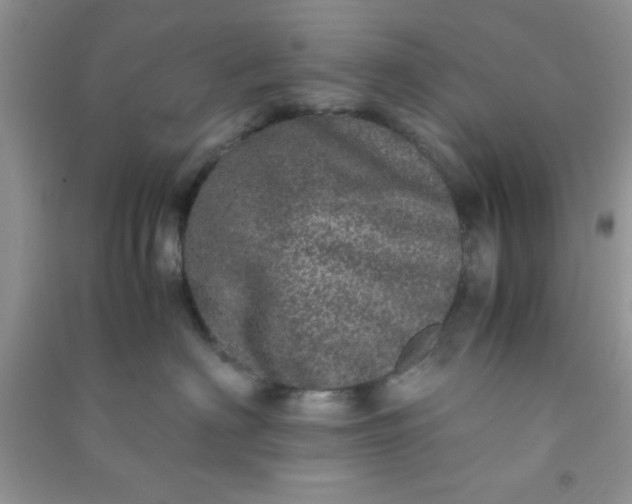 X0000090990622200708161918