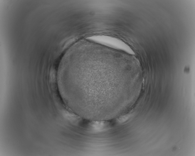 X0000090990623200708161918