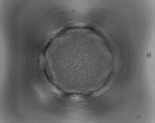 X0000090990624200708161918