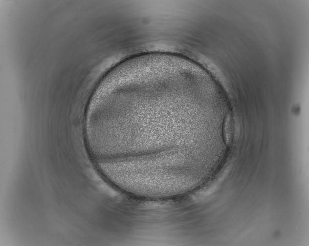 X0000090990625200708161918