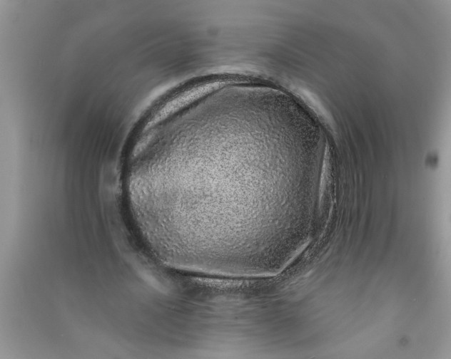 X0000090990628200708161918