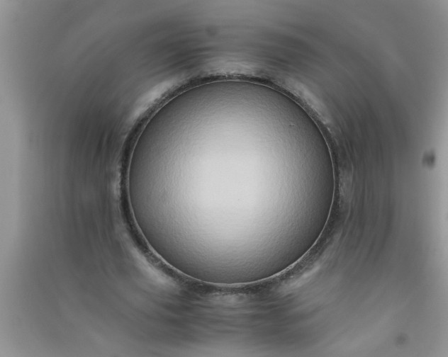 X0000090990629200708161918