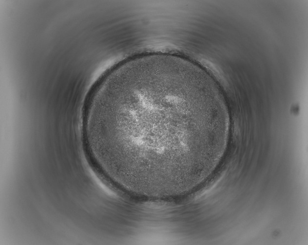 X0000090990630200708161918
