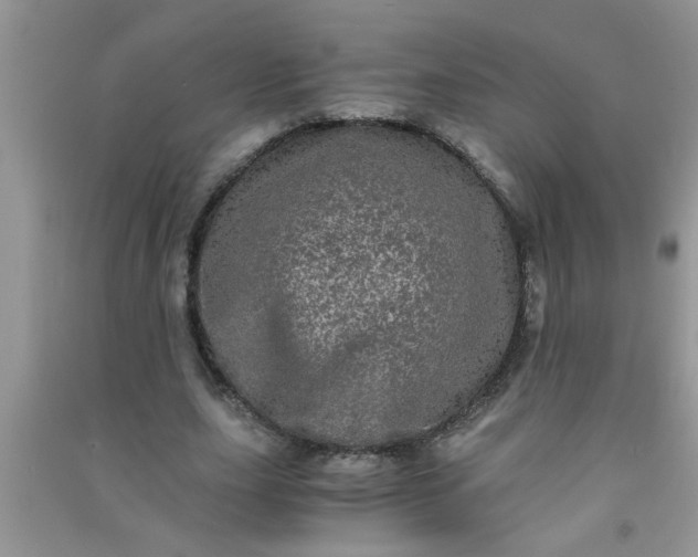 X0000090990631200708161918