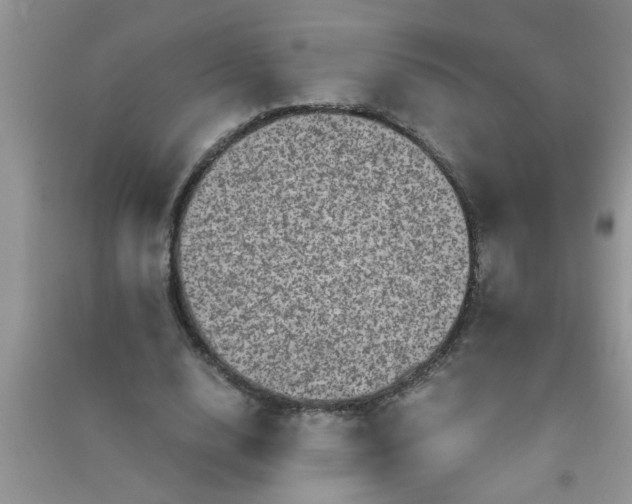 X0000090990632200708161918