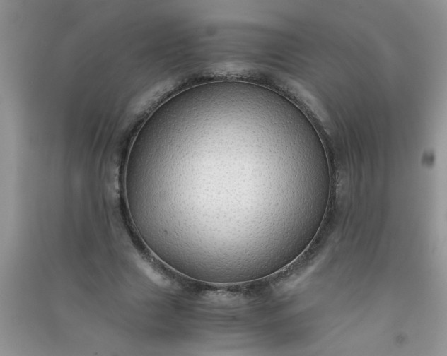 X0000090990633200708161918