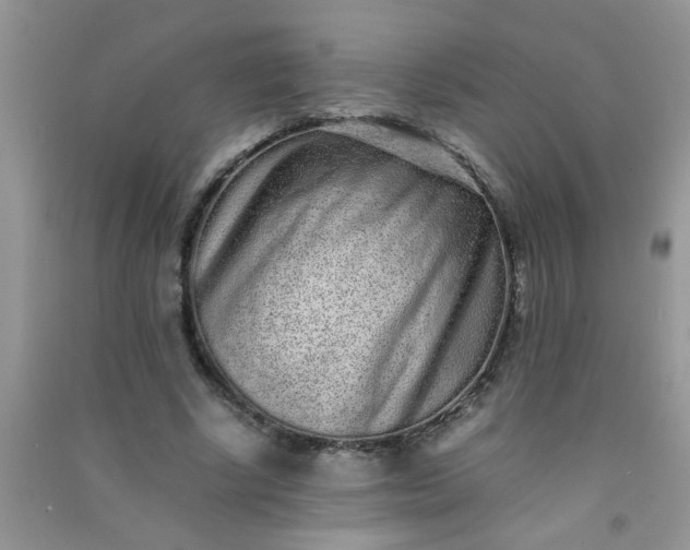 X0000090990634200708161918