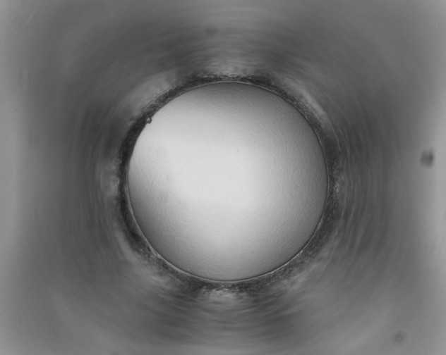 X0000090990635200708161918