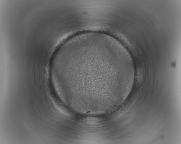 X0000090990636200708161918