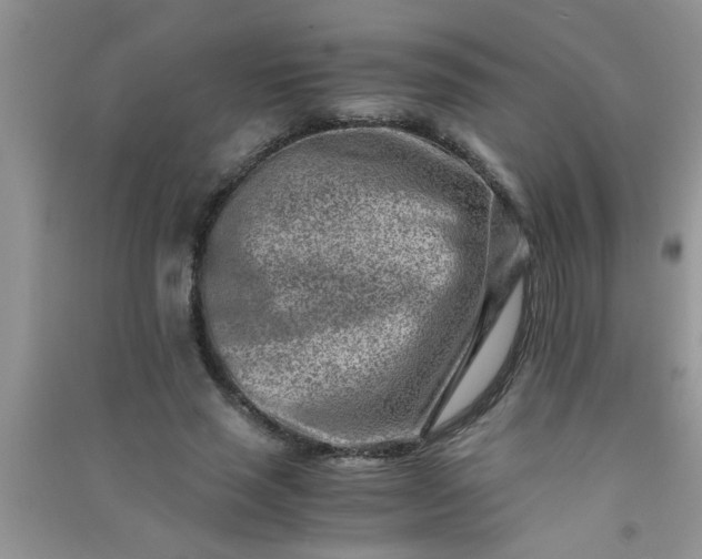 X0000090990637200708161918