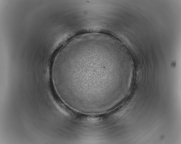 X0000090990638200708161918