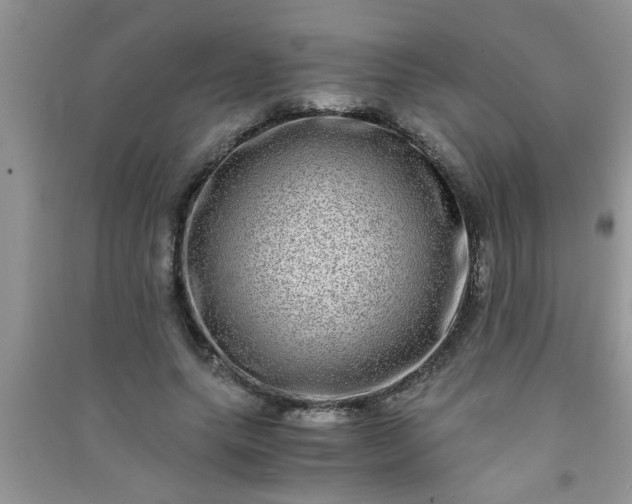 X0000090990639200708161918