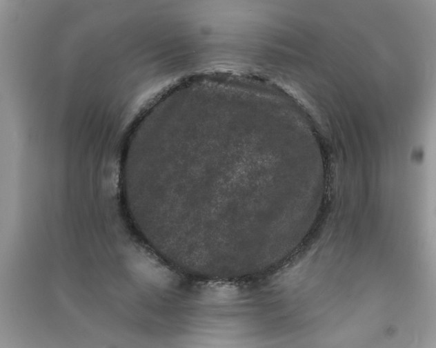 X0000090990640200708161918
