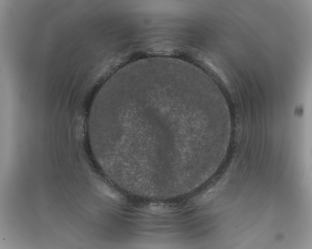 X0000090990641200708161918