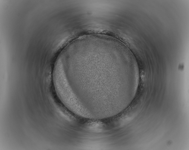 X0000090990642200708161918