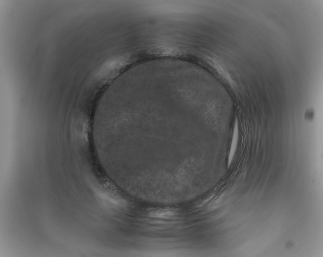 X0000090990643200708161918