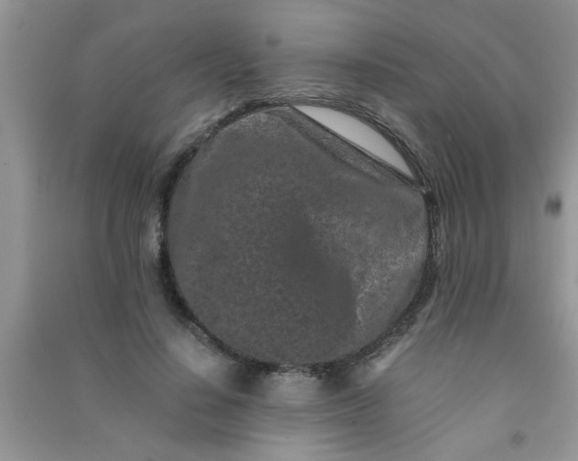 X0000090990644200708161918